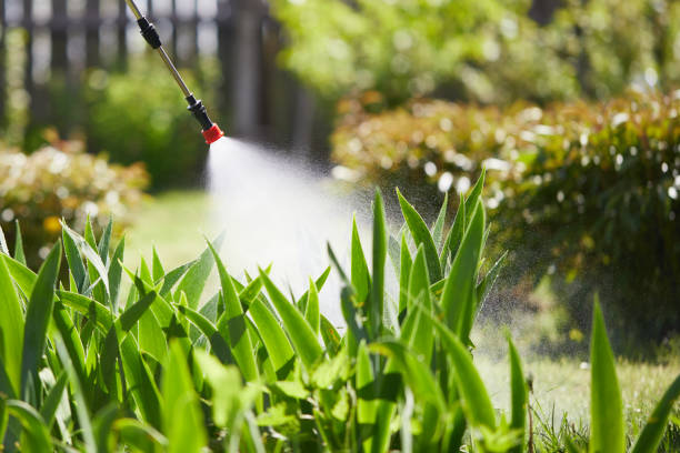 24/7 Emergency Mosquito Control experts in Ellport, PA